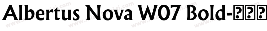 Albertus Nova W07 Bold字体转换
